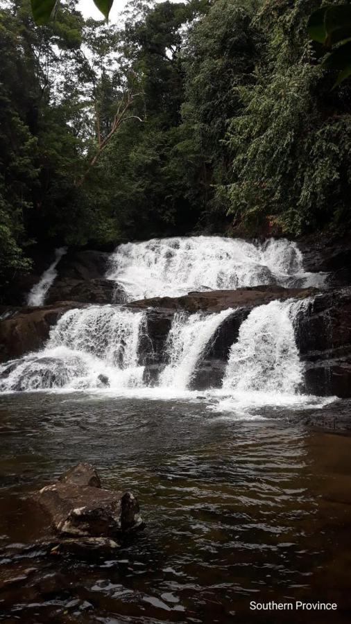 Rainforest River Edge 호텔 데니야야 외부 사진