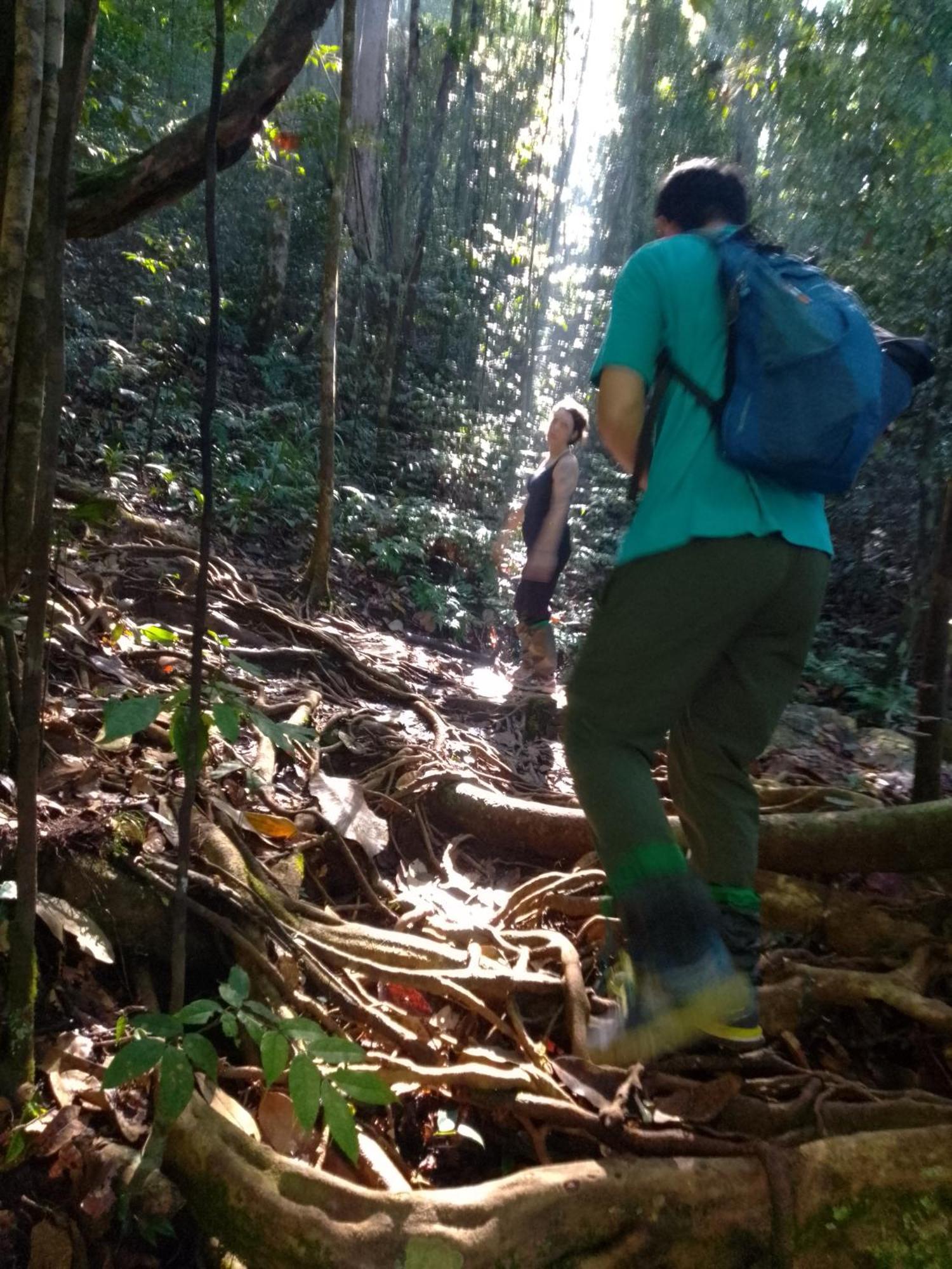 Rainforest River Edge 데니야야 외부 사진